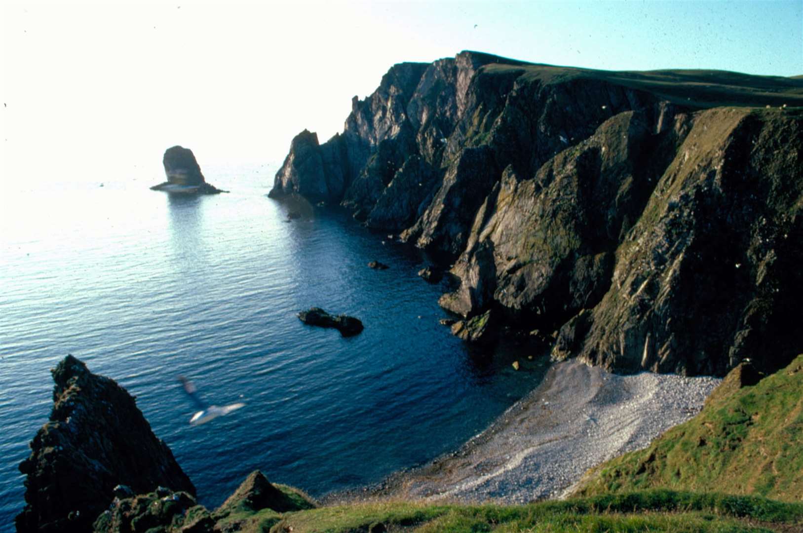 Fair isle is one of the areas looked after by the NTS.