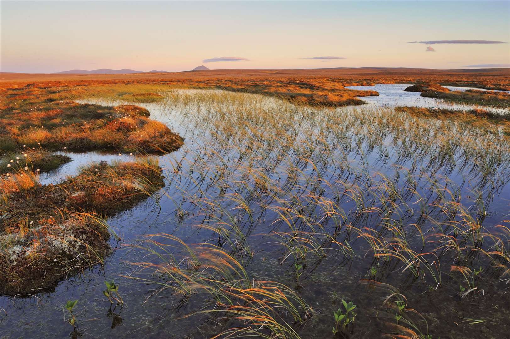 Blanket bog in the Flow Country of Caithness and Sutherland. Picture: Lorne Gill / NatureScot / 2020VISION