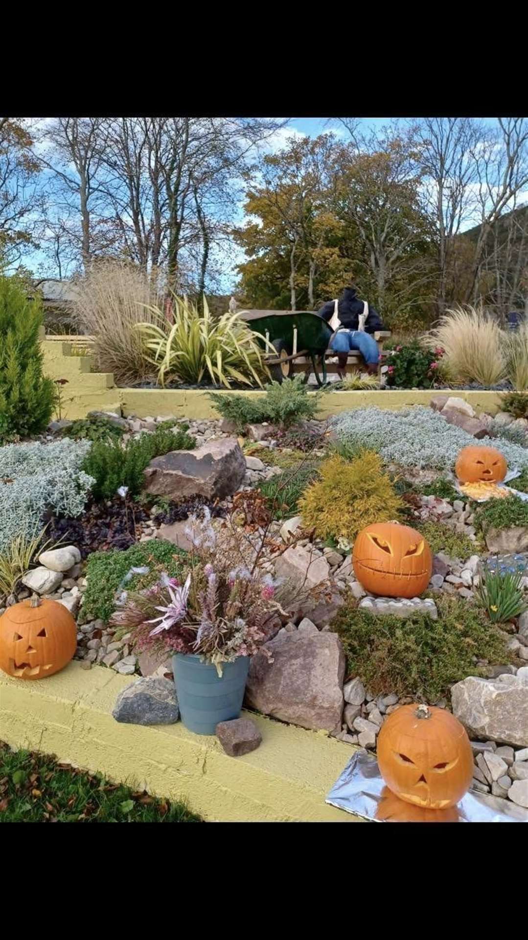 Pumpkins at the Ullapool Garden of Reflection. Picture: Ullapool Garden of Reflection.
