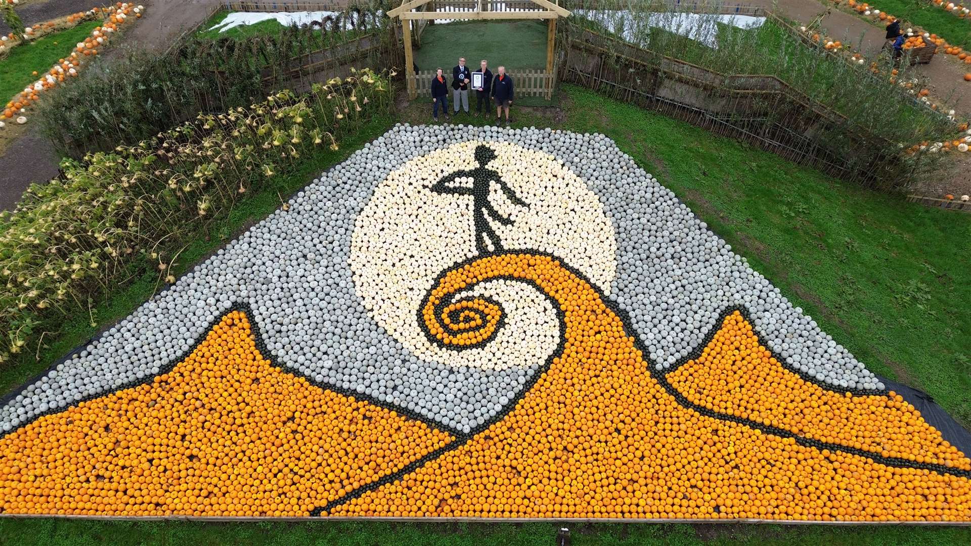 The mosaic is made up of different pumpkin and squash varieties (Guinness World Records)