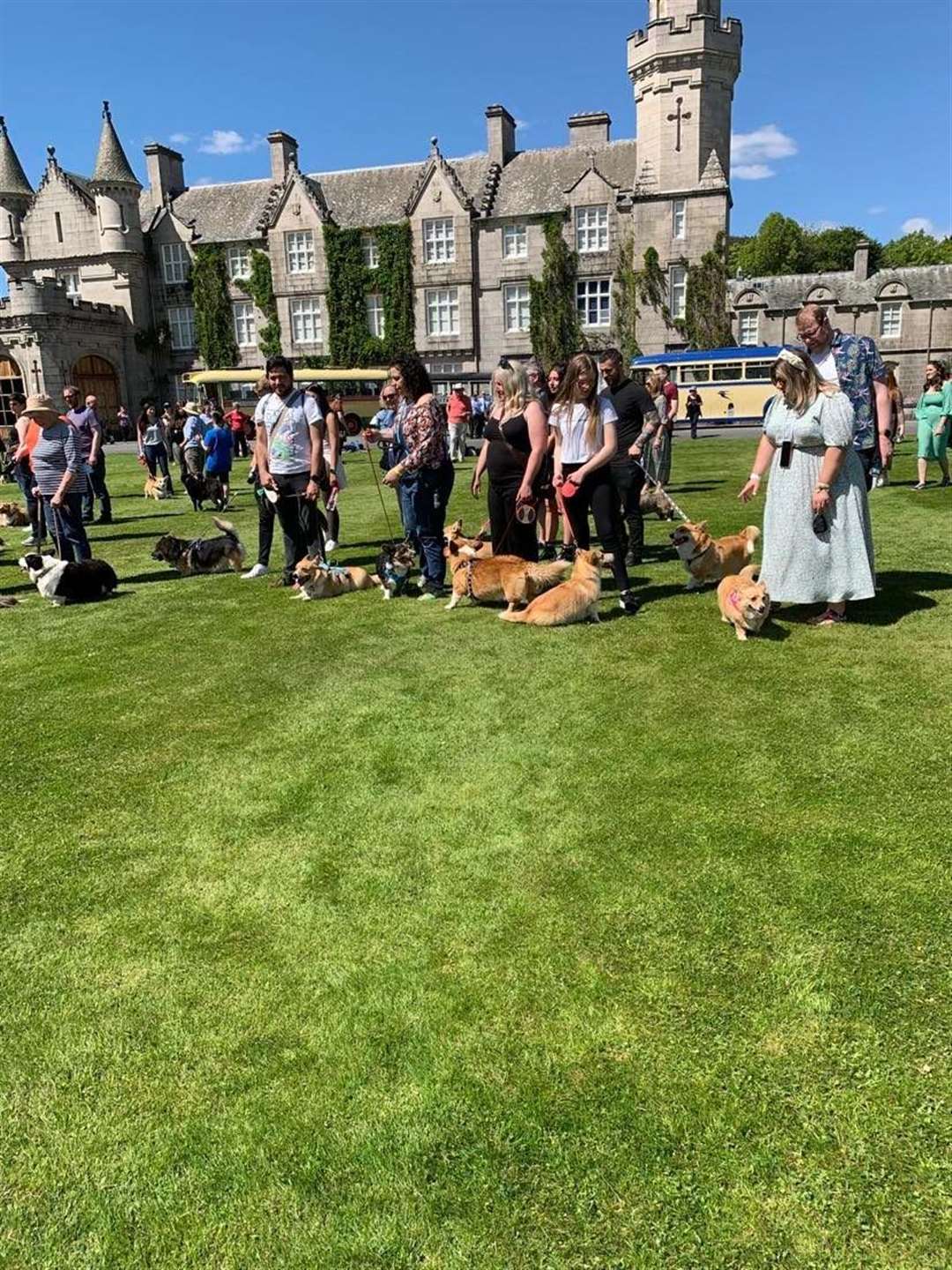 Eevie and Bagel with Jill and Pistol as they join the other corgis in front of Balmoral Castle.