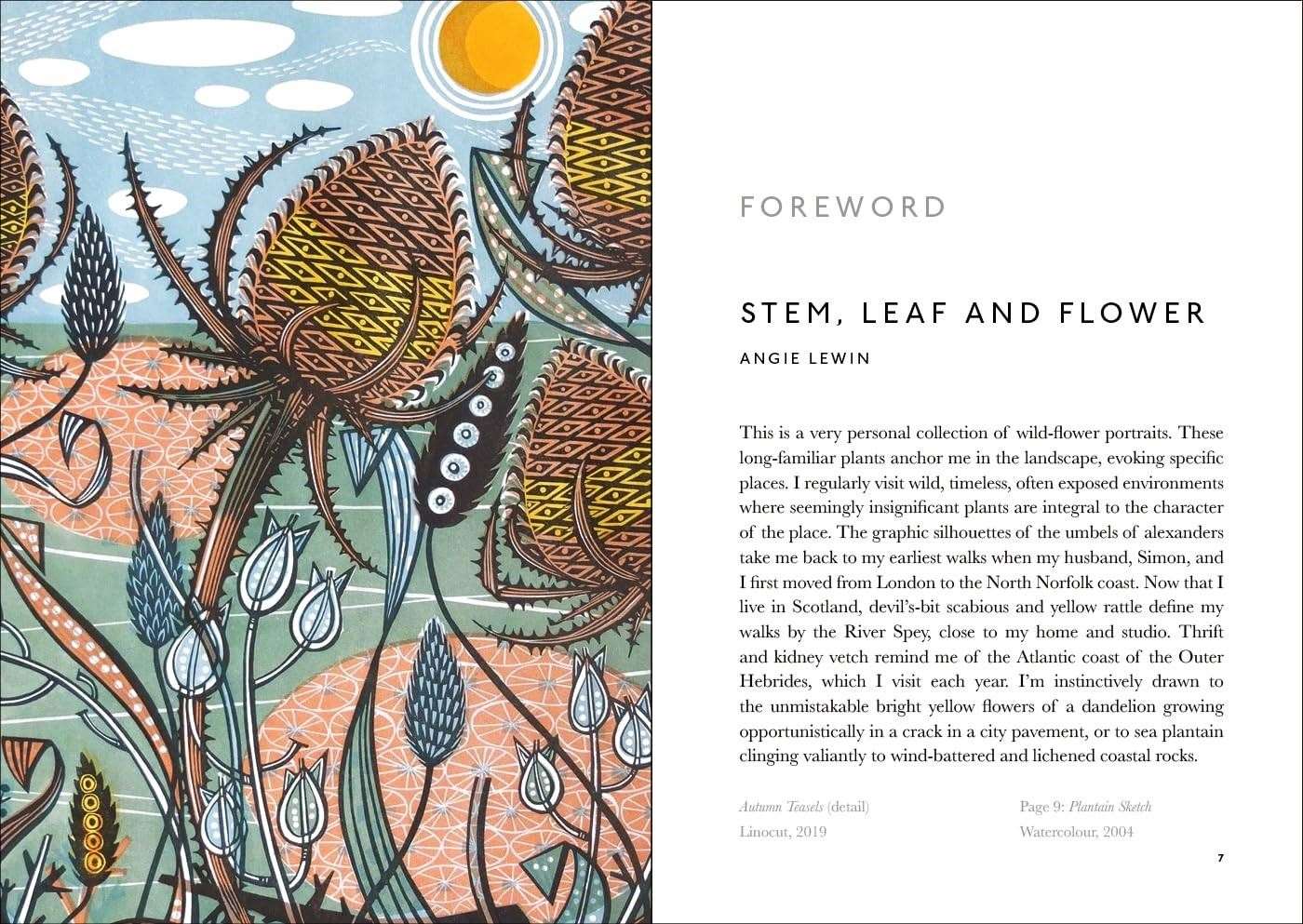 Page from The Book of Wild Flowers with an illustration by Angie Lewin.